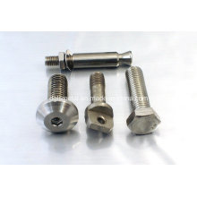 Custom Special Stainless Steel Bolts/Stainless Steel Special Bolts